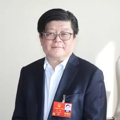 金晶科技董事長王剛.jpg